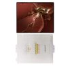 VOLTE-TEL PET SOFT FILM FOLDABLE HUAWEI MATE XT ULTIMATE 5G 10,2" ΑΘΡΑΥΣΤΗ ΜΕΜΒΡΑΝΗ ΕΣΩΤΕΡΙΚΗΣ ΟΘΟΝΗΣ 0,20mm FULL COVER