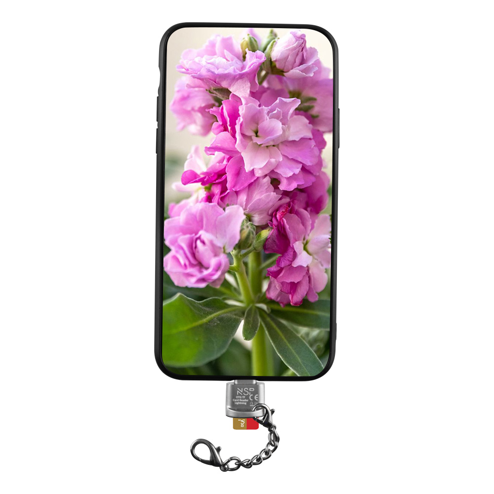 NSP N34 OTG TF/MICRO SD TO LIGHTNING SILVER - Image 4